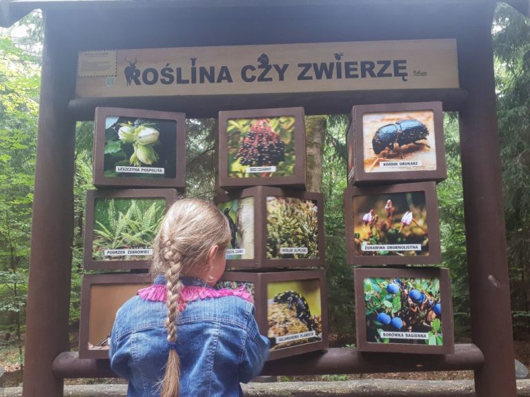 Read more about the article Gdzie na wycieczkę z najmłodszymi?